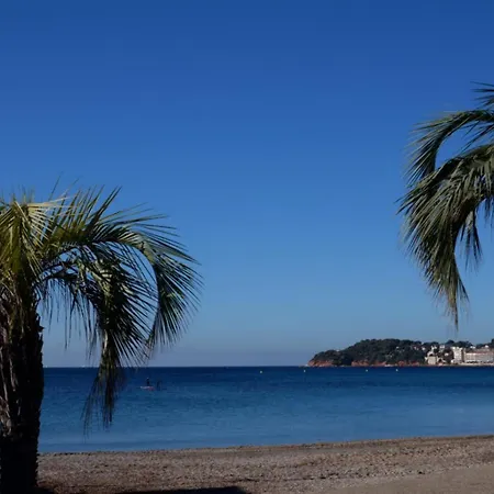 Superbe Au Calme Appartement Sanary-sur-Mer